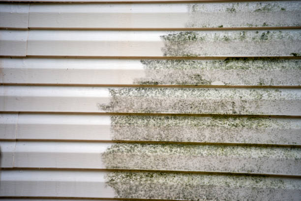 Best Basement Cleanout  in Rosepine, LA