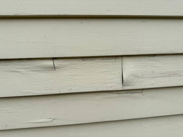 Best Property Management Cleanouts  in Rosepine, LA